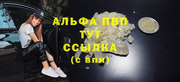 spice Верея