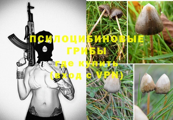 винт Бугульма